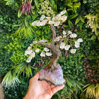 Natural Clear Quartz Bonsai Tree with Amethyst Base