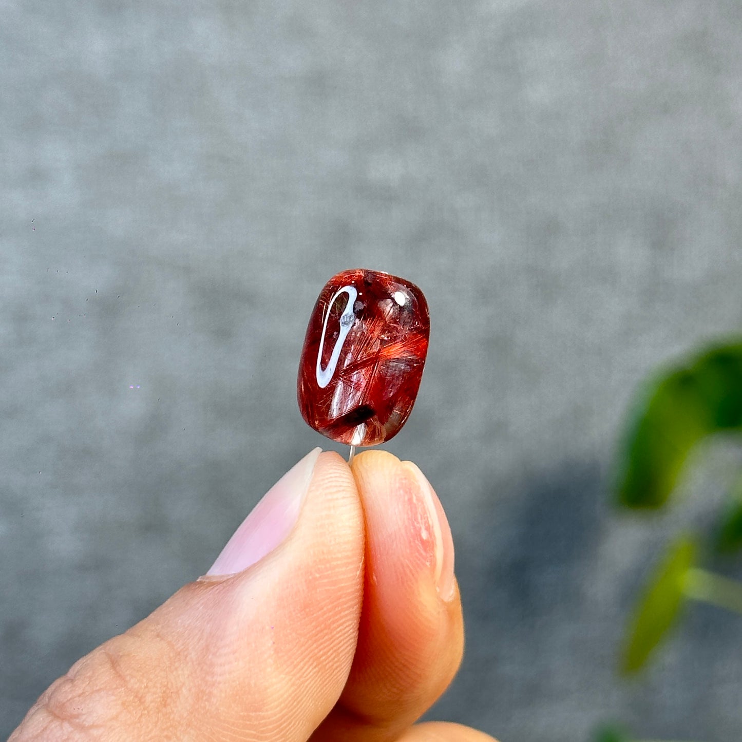 Lu Thong Red Rutilated Quartz Charm