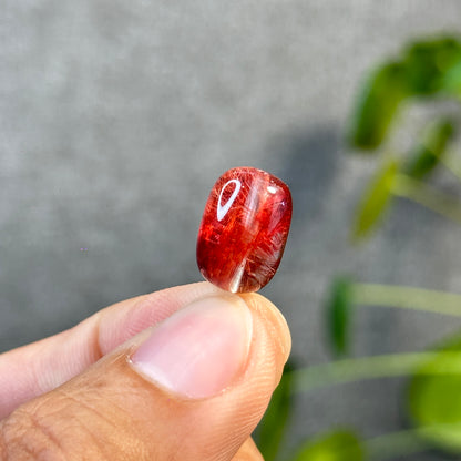 Lu Thong Red Rutilated Quartz Charm