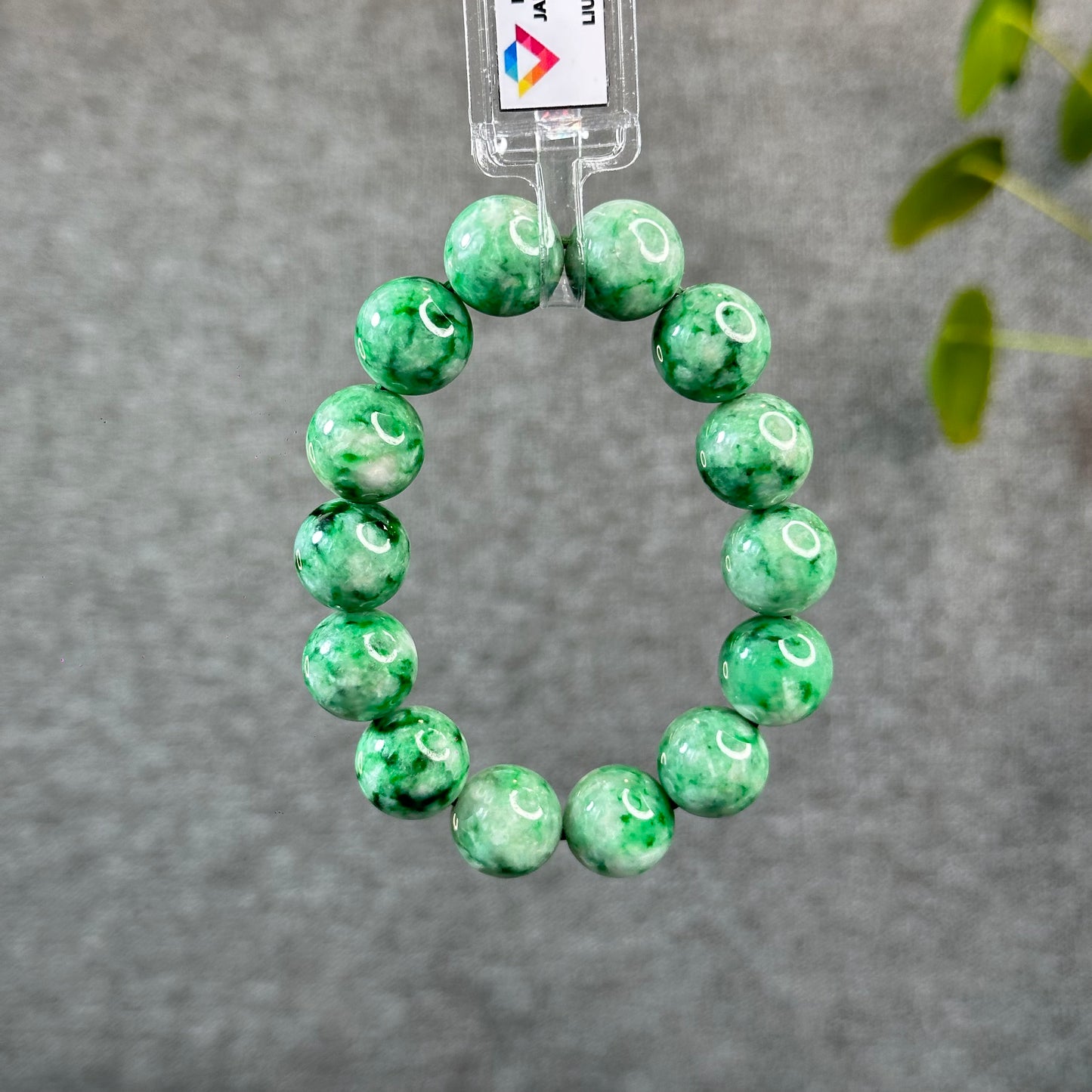 Natural Apple Green Jadeite Jade VIP Bracelet Size 13.7 mm
