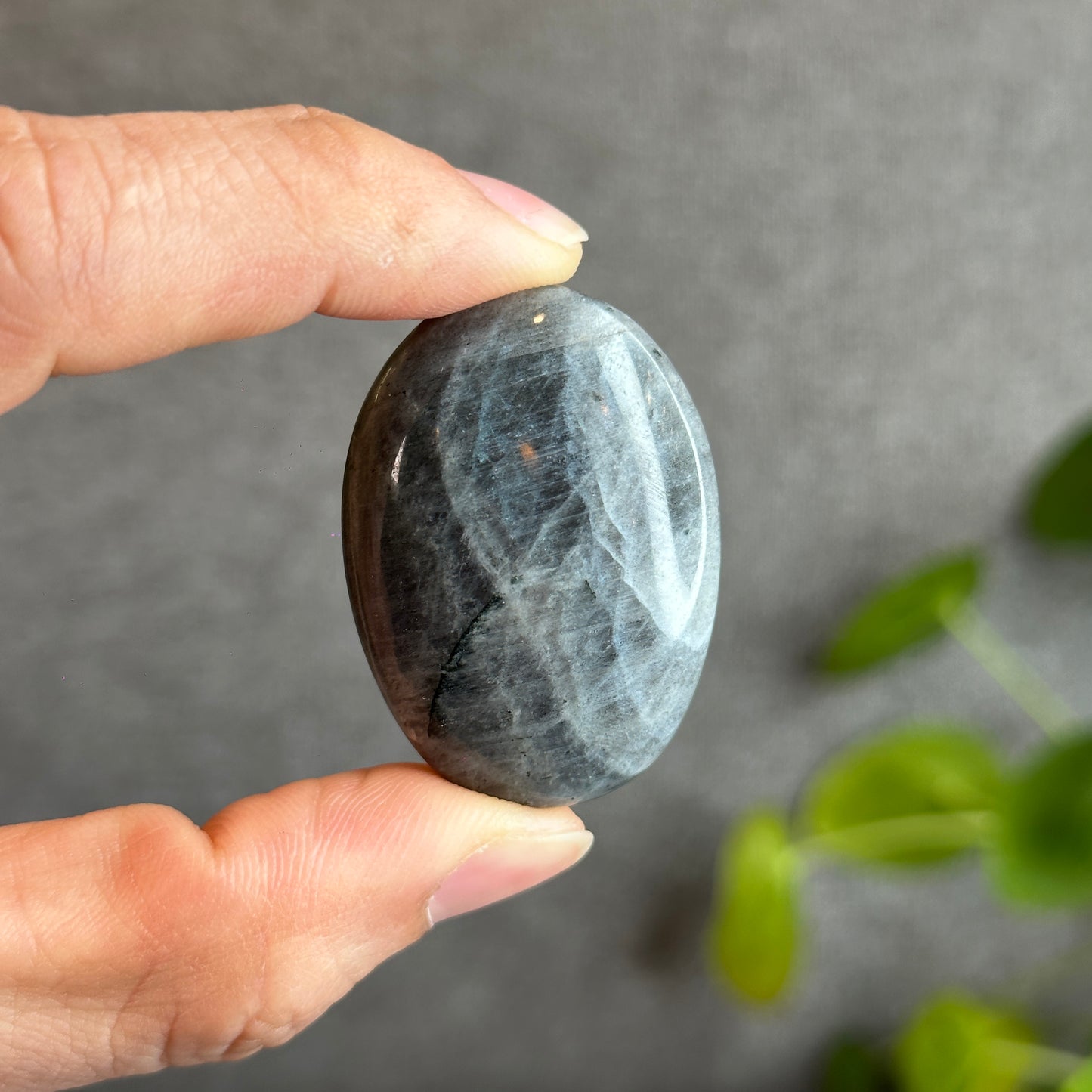 Labradorite Palm Stone