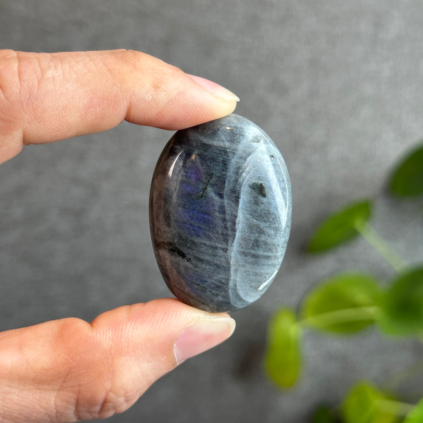 Labradorite Palm Stone