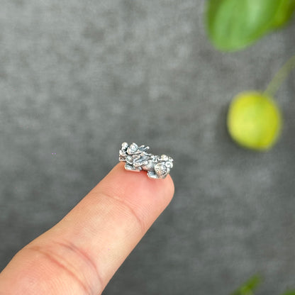 Pixiu Silver Charm Small