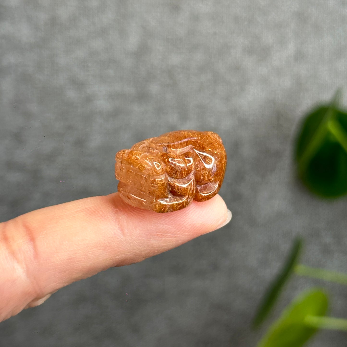 Gold-Brown Rutilated Quartz Pixiu