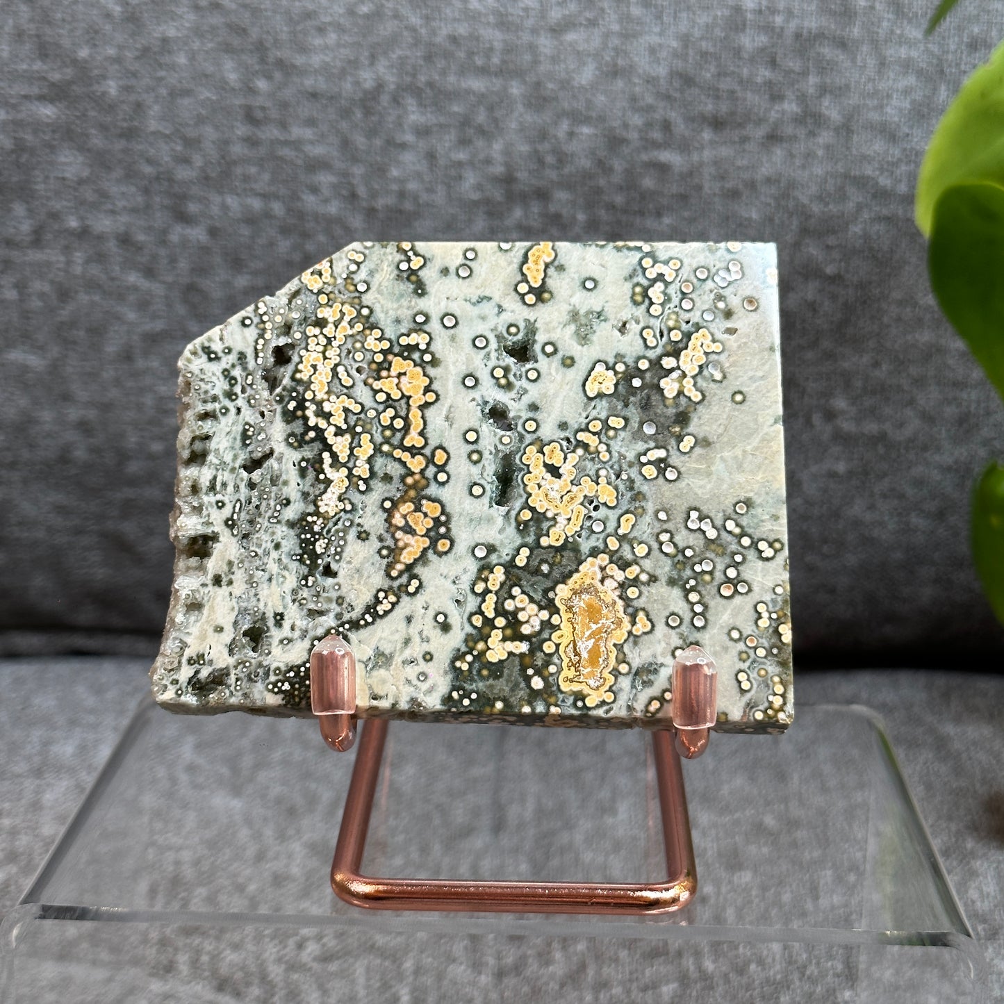 Ocean Jasper Slab