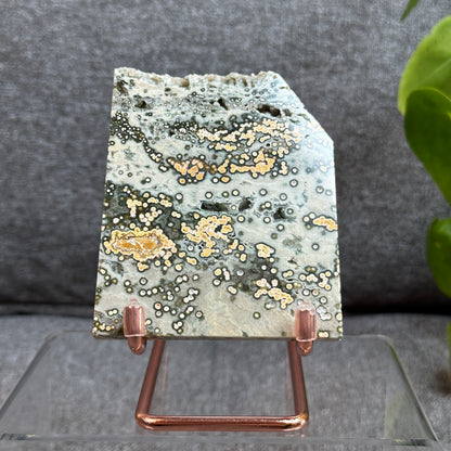 Ocean Jasper Slab