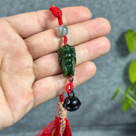 Cicada Natural Nephrite Jade VIP Accessory