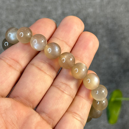 Brown Moonstone Bracelet Size 10.5 mm