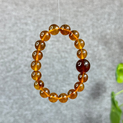 Natural Dominican Blue Flash Amber Bracelet Mix Bead 10.5 mm and 15 mm