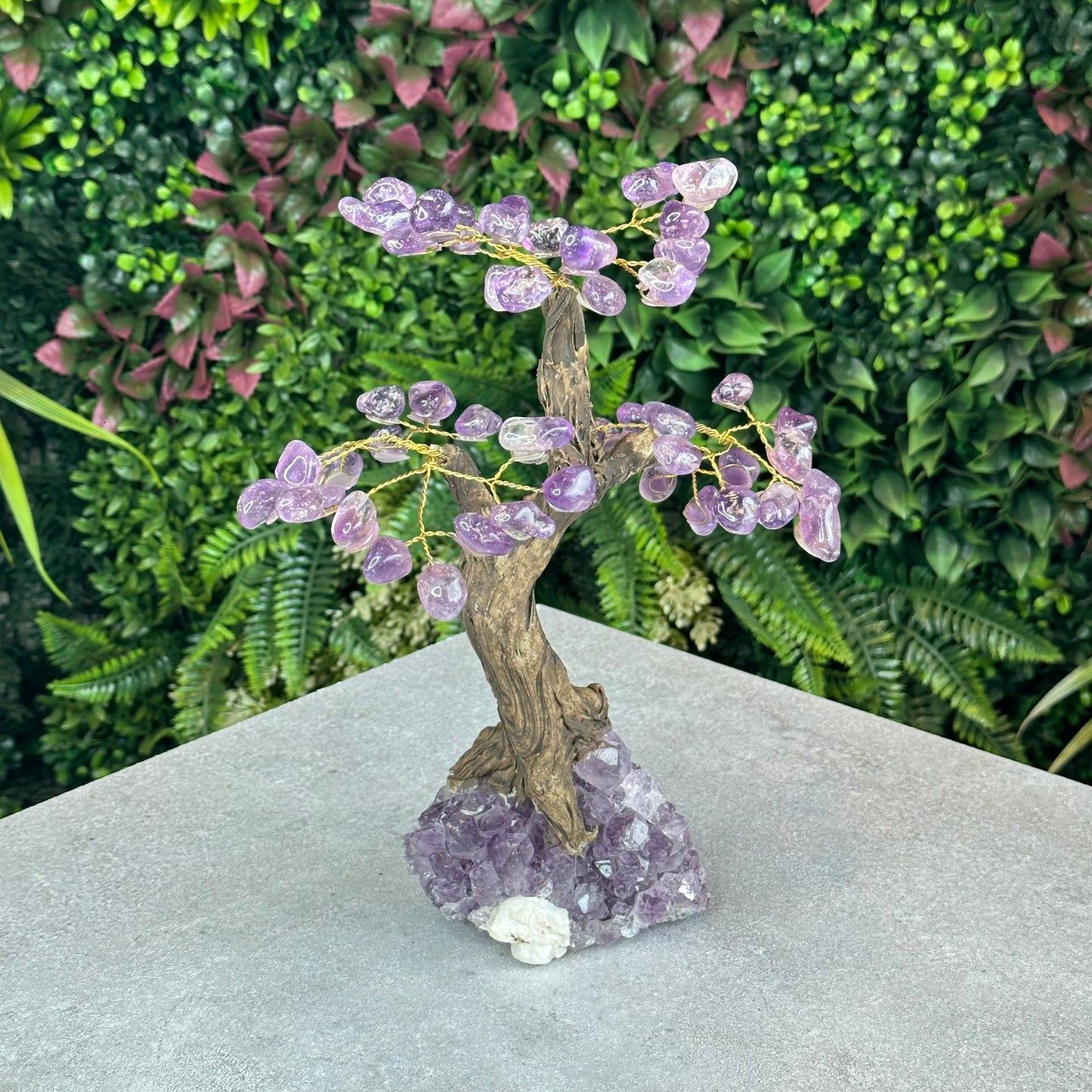 Natural Amethyst Bonsai Tree