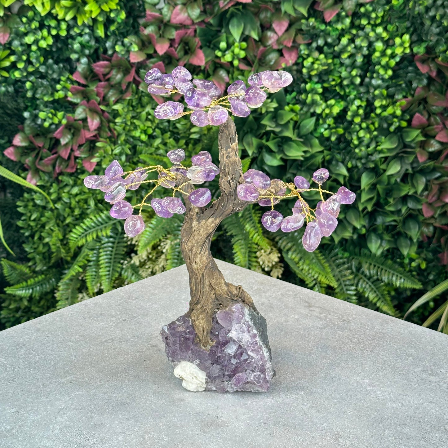 Natural Amethyst Bonsai Tree