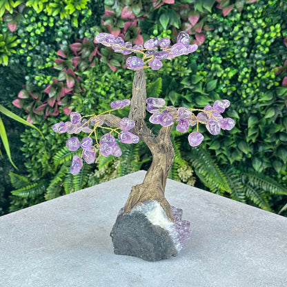 Natural Amethyst Bonsai Tree