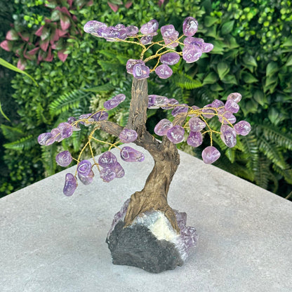 Natural Amethyst Bonsai Tree