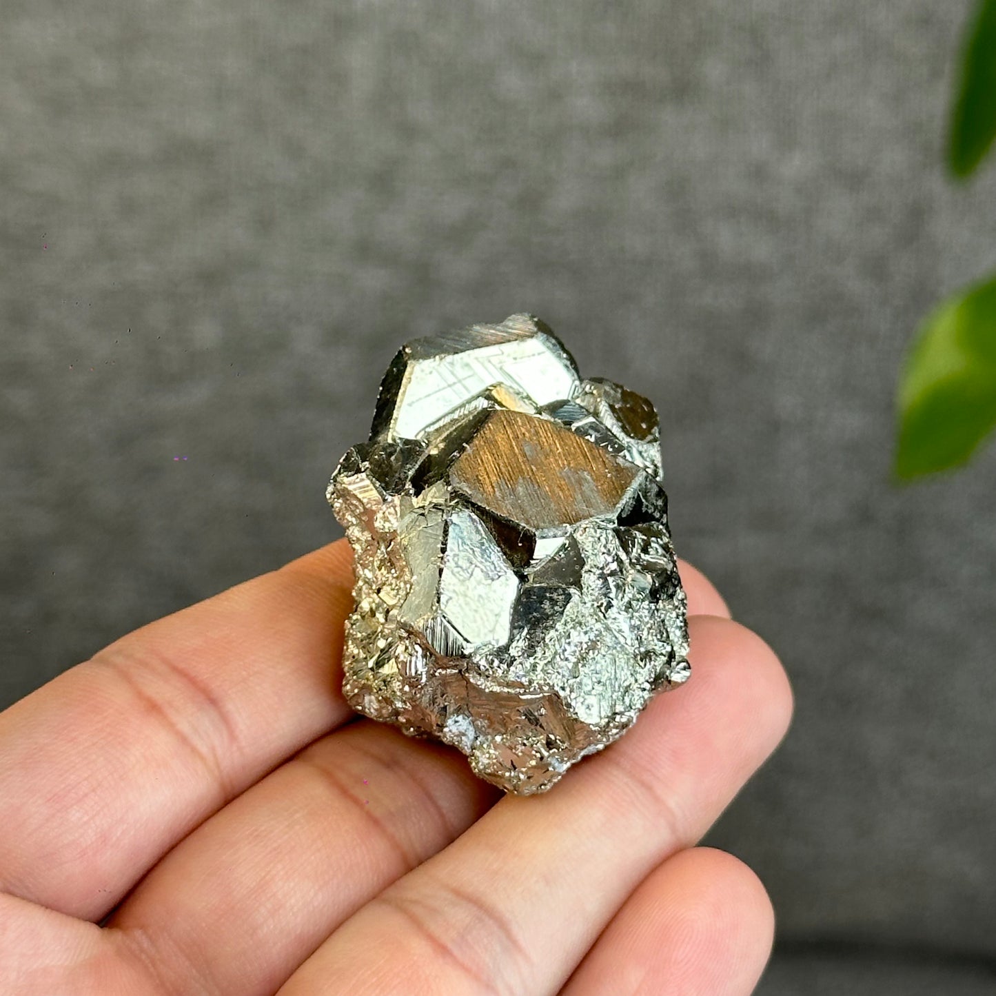 Natural Pyrite Raw Free Form
