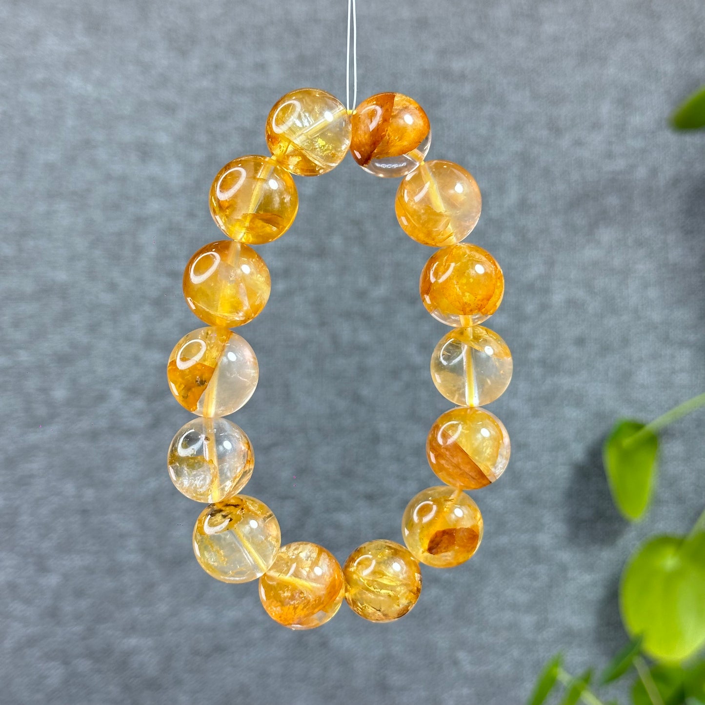 Natural Golden Healer Bracelet Size 16 mm