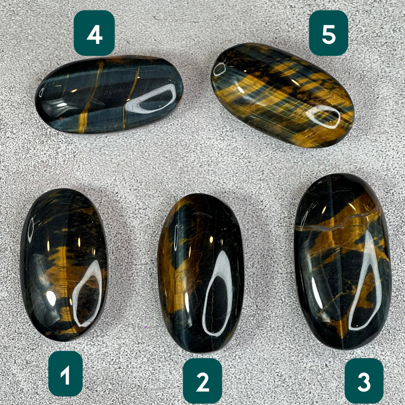 Natural Eagle Eye Palm Stone