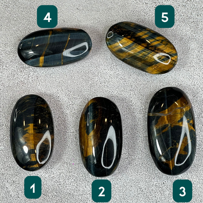 Natural Eagle Eye Palm Stone