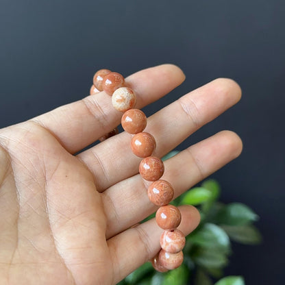 Coral Fossil Bracelet Size 10 mm