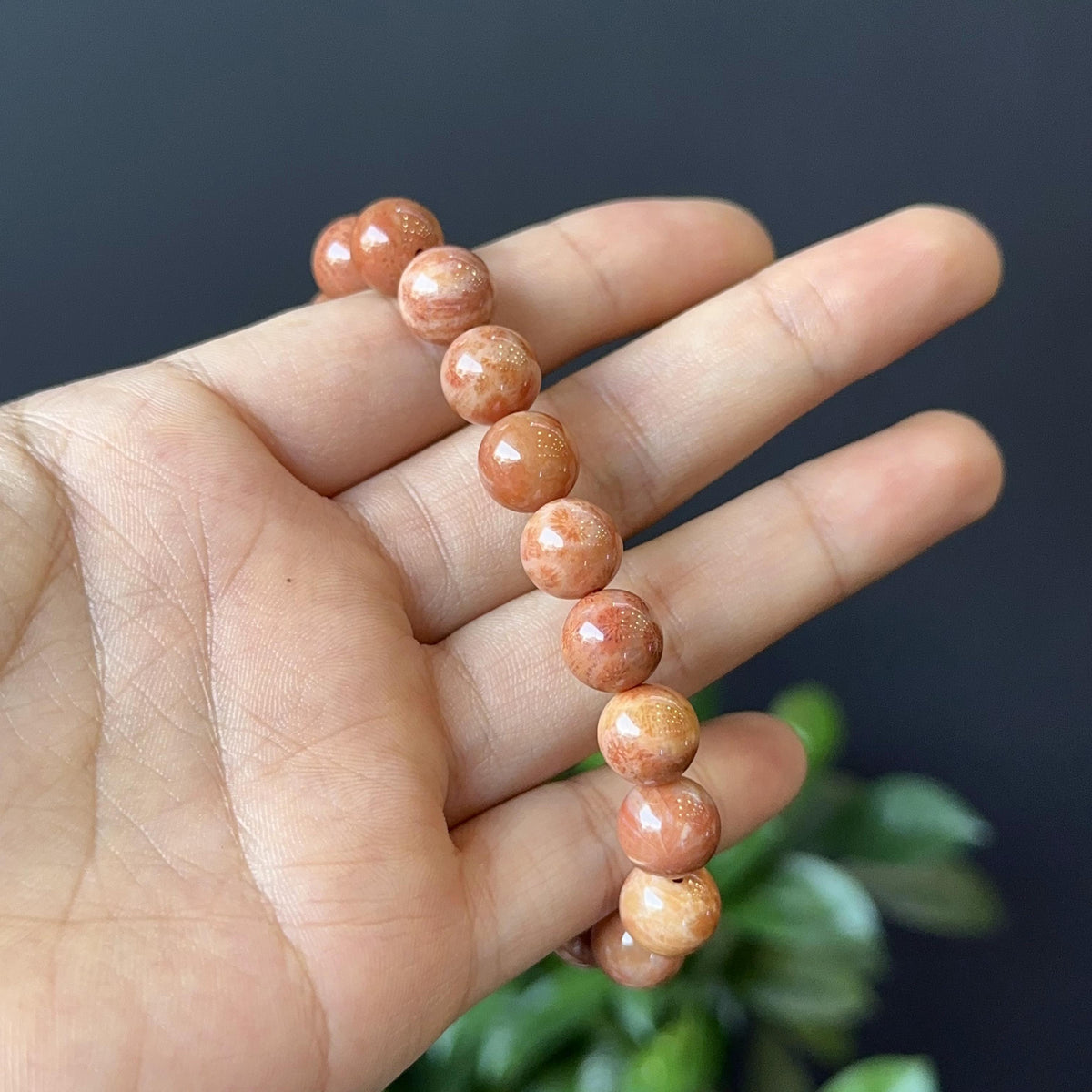 Coral Fossil Bracelet Size 10 mm