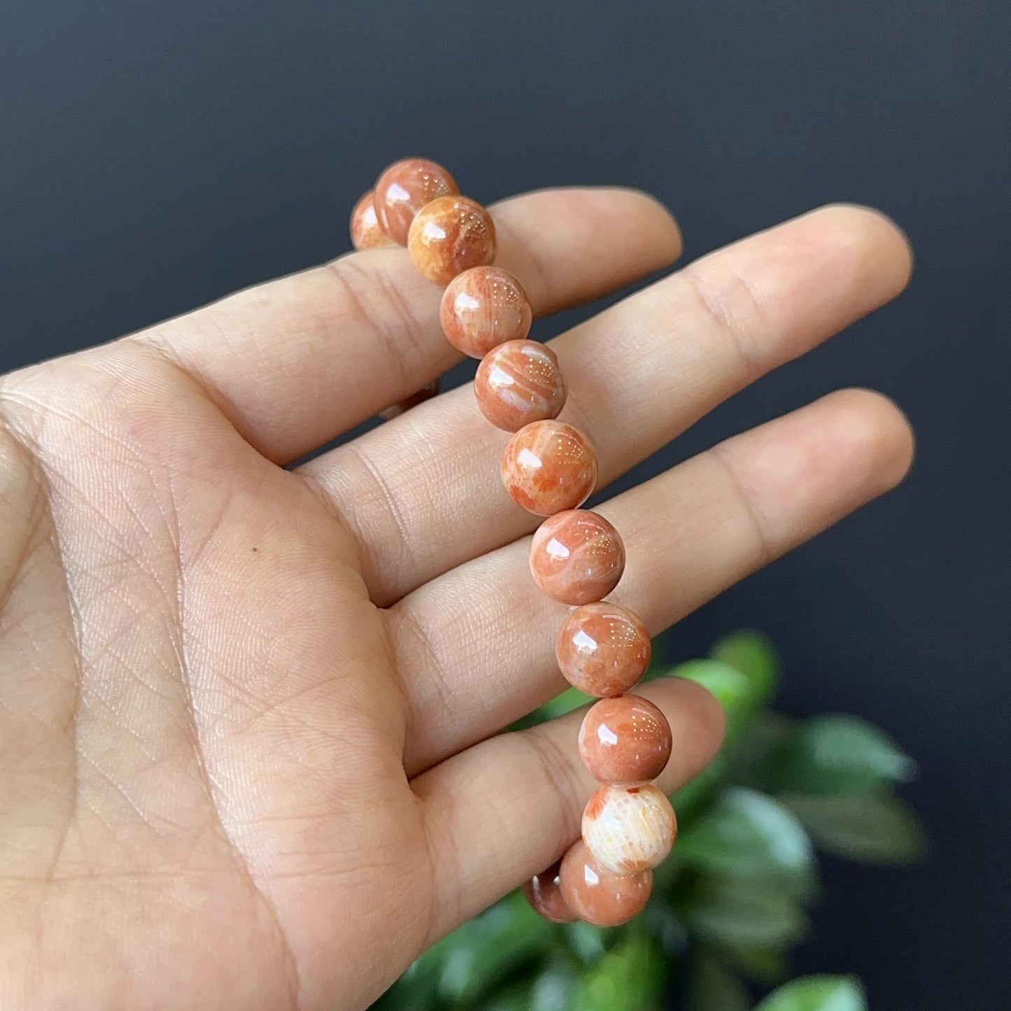 Coral Fossil Bracelet Size 10 mm