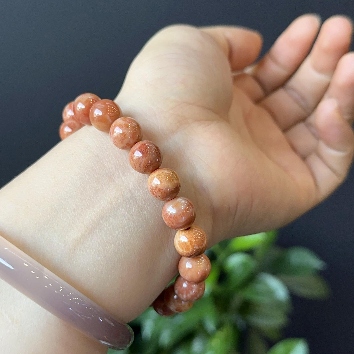 Coral Fossil Bracelet Size 10 mm
