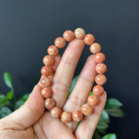 Coral Fossil Bracelet Size 10 mm