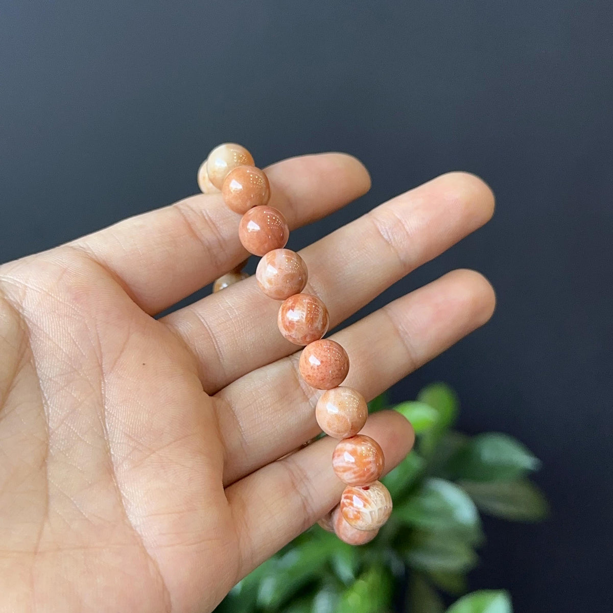 Coral Fossil Bracelet Size 10 mm