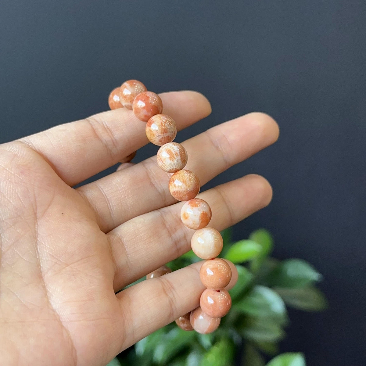 Coral Fossil Bracelet Size 10 mm