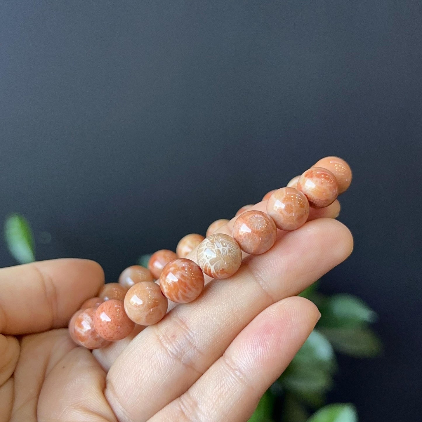 Coral Fossil Bracelet Size 10 mm