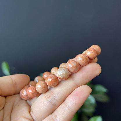 Coral Fossil Bracelet Size 10 mm