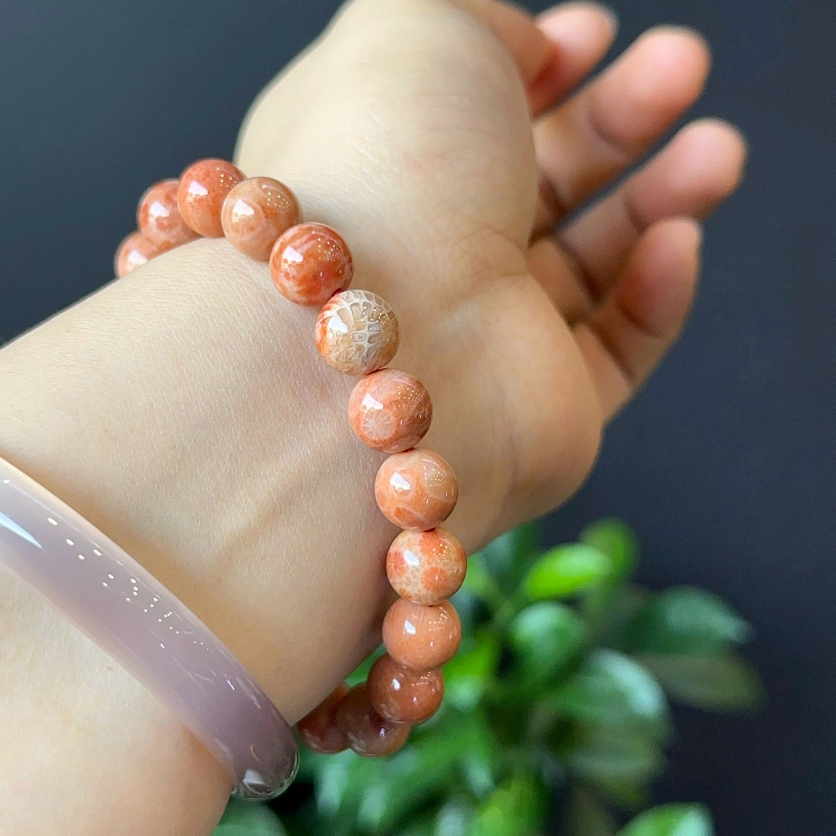Coral Fossil Bracelet Size 10 mm