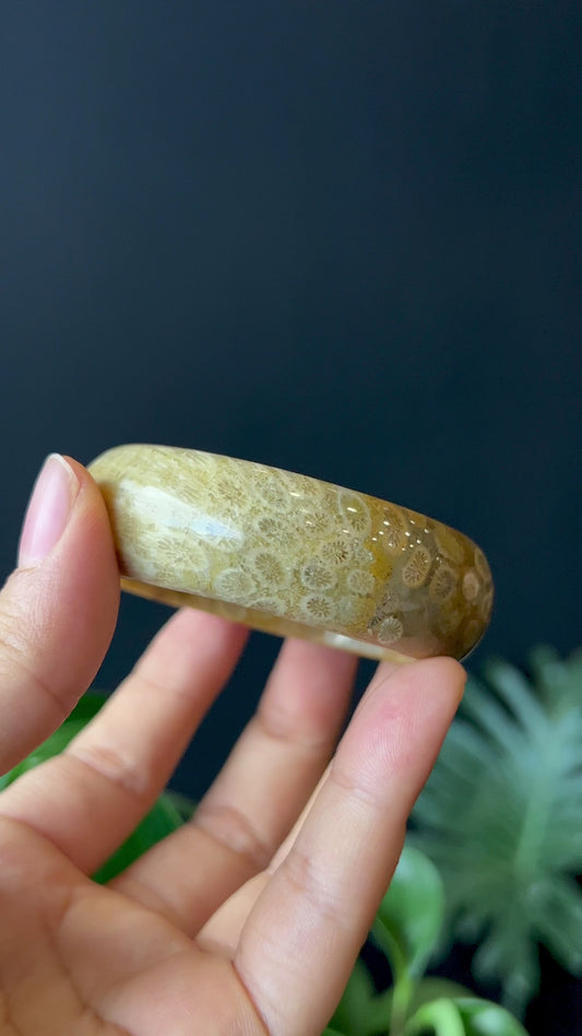 Natural Coral Fossil Bangle Leaf Style Size 51 mm