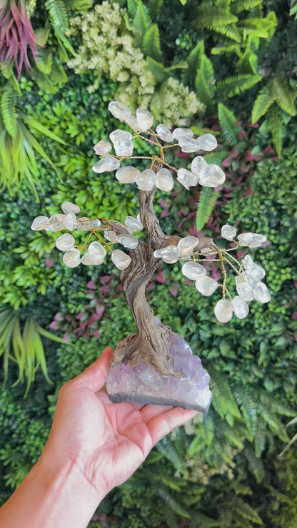 Natural Clear Quartz Bonsai Tree with Amethyst Base