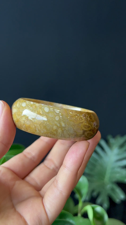 Natural Coral Fossil Bangle Leaf Style Size 52 mm