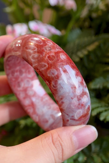 Natural Red Coral Fossil Bangle Leaf Style Size 58.8 mm
