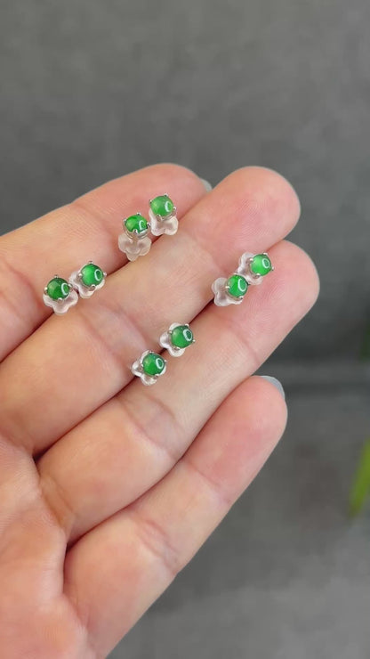 Natural Imperial Jadeite Jade Stud Earrings with S925 Silver Setting