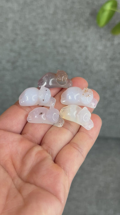 Natural Translucent Cat Agate Charm