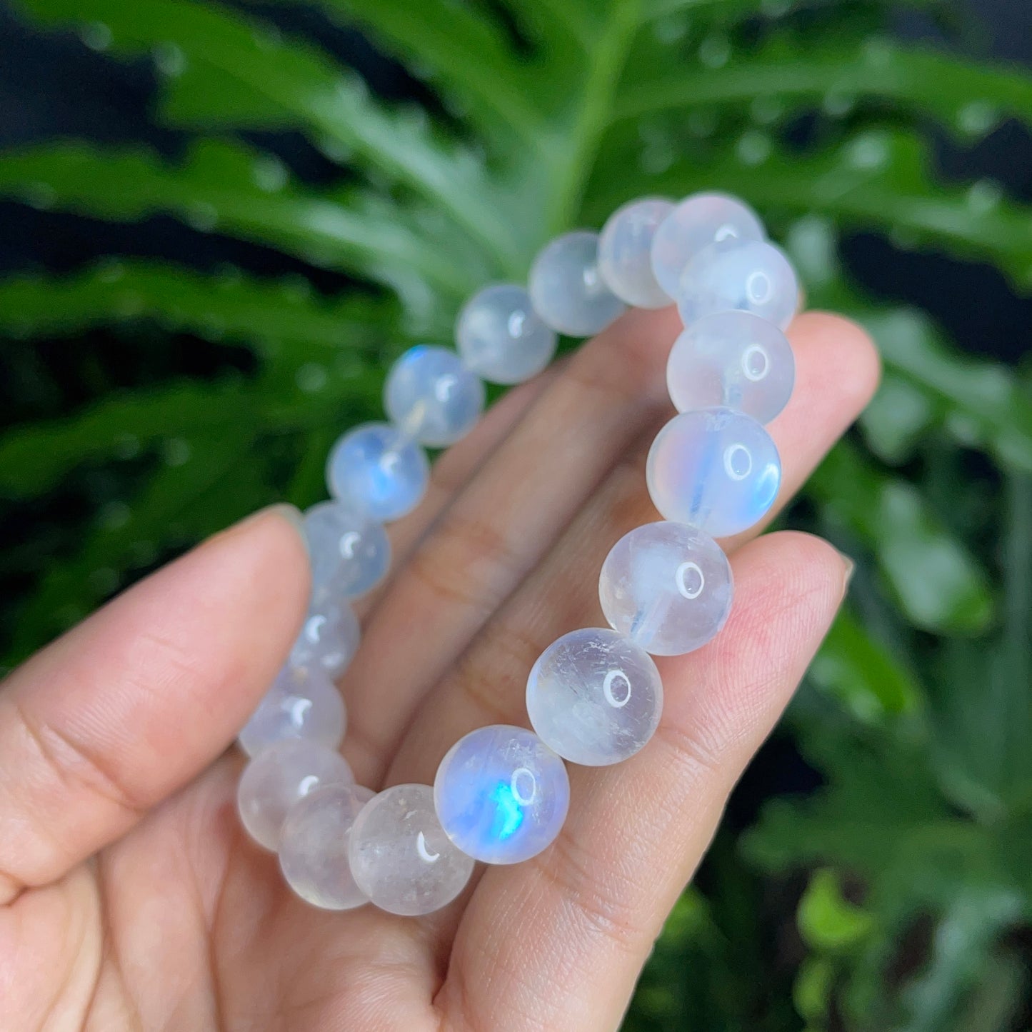 Natural Moonstone VIP Bracelet Size 11 mm