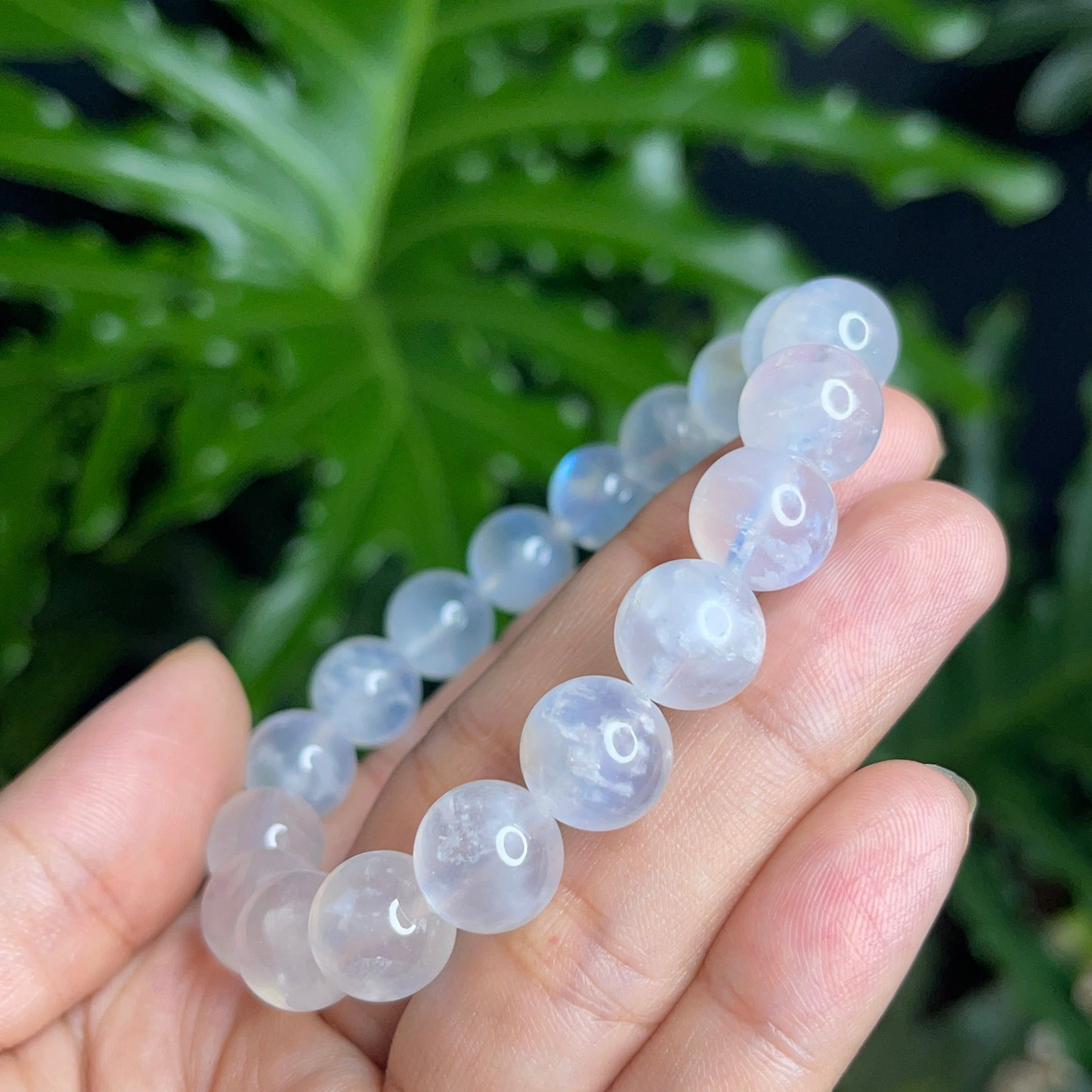Natural Moonstone VIP Bracelet Size 11 mm