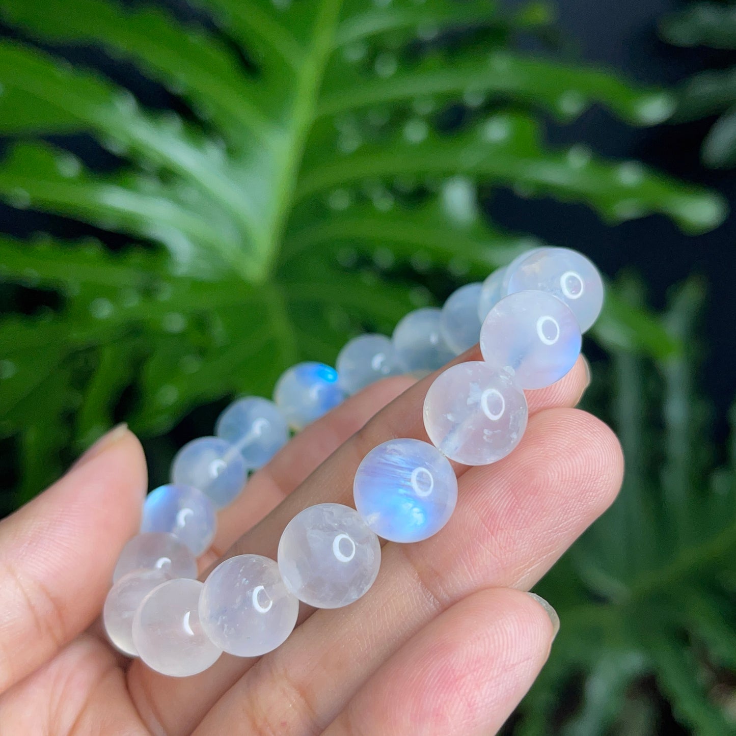 Natural Moonstone VIP Bracelet Size 11 mm
