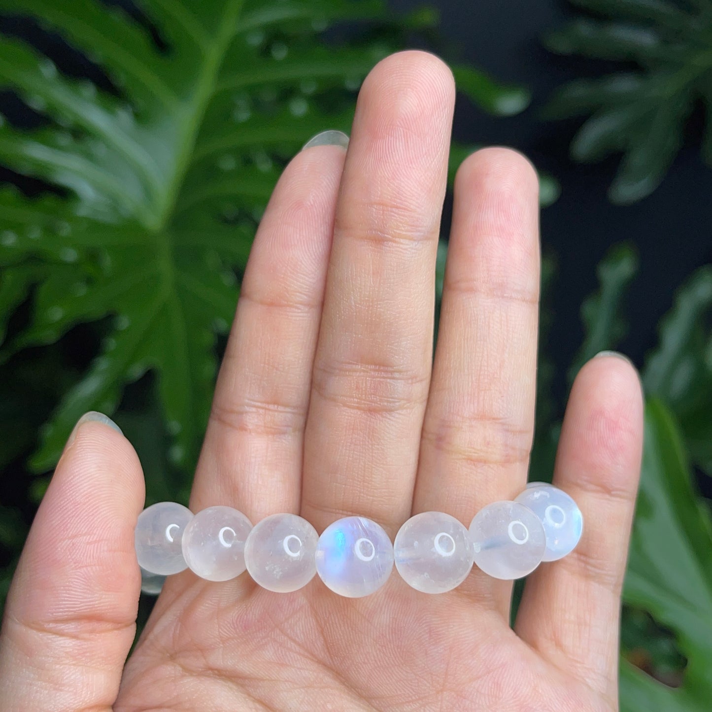 Natural Moonstone VIP Bracelet Size 11 mm