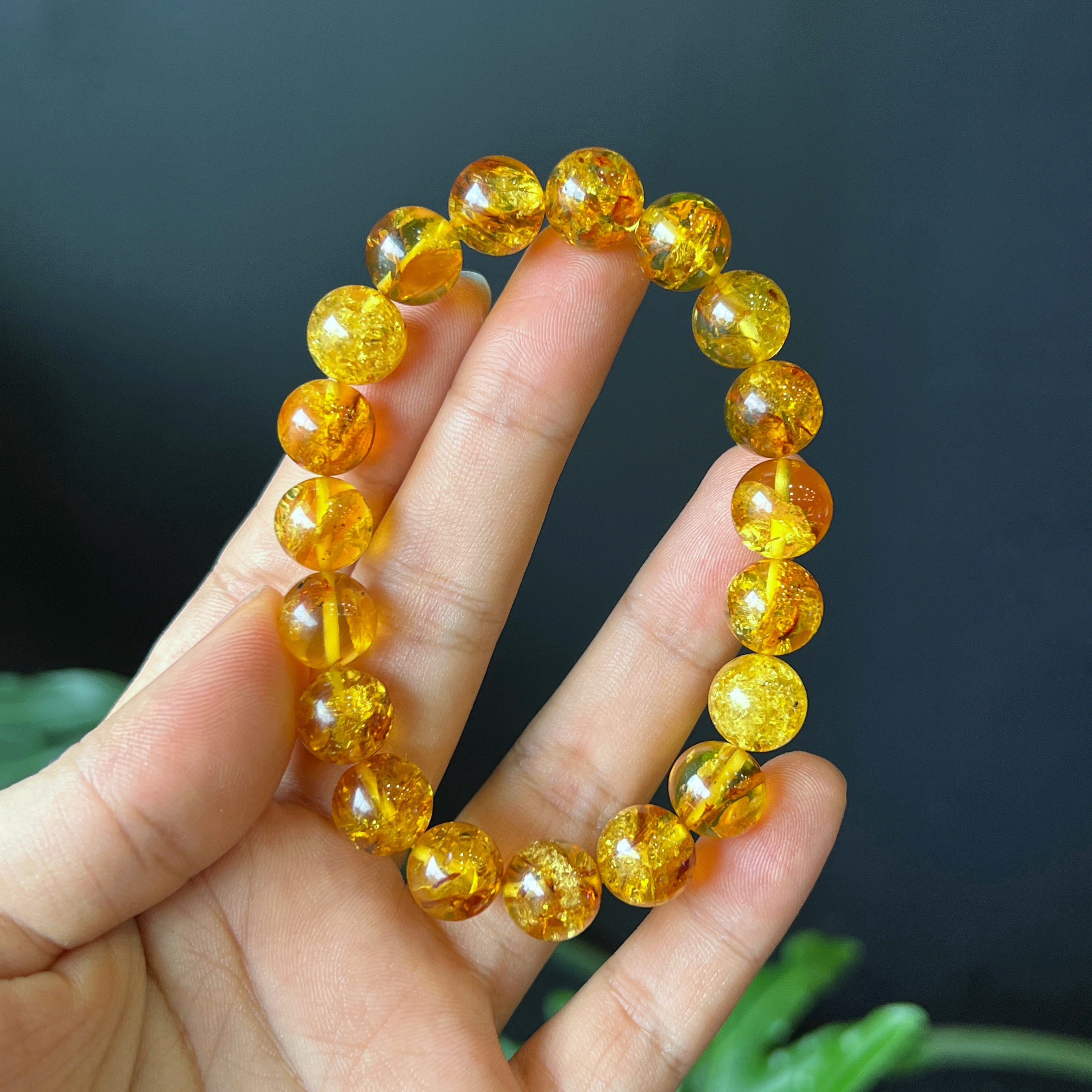 Amber Fossil Bracelet Size 10 mm
