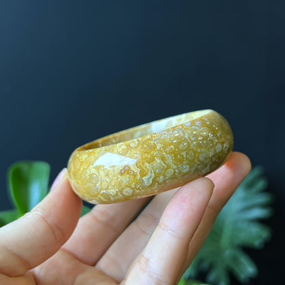 Natural Coral Fossil Bangle Leaf Style Size 52 mm