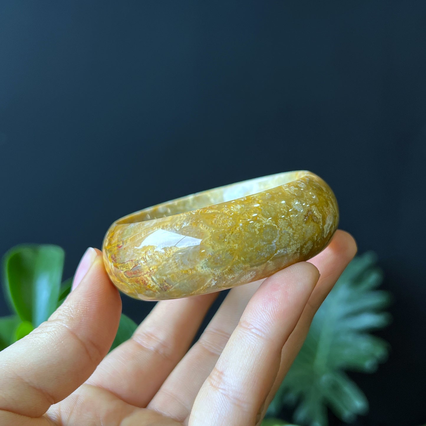 Natural Coral Fossil Bangle Leaf Style Size 52 mm