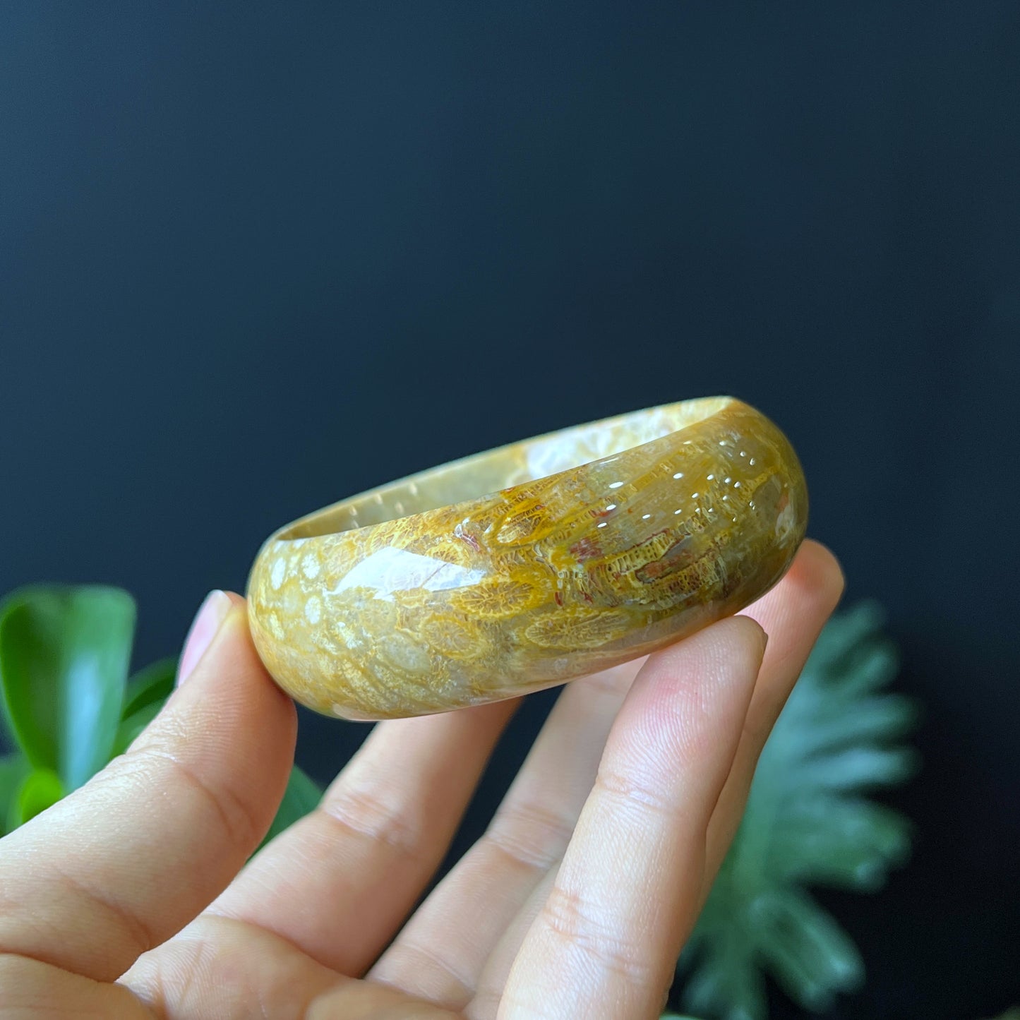 Natural Coral Fossil Bangle Leaf Style Size 52 mm
