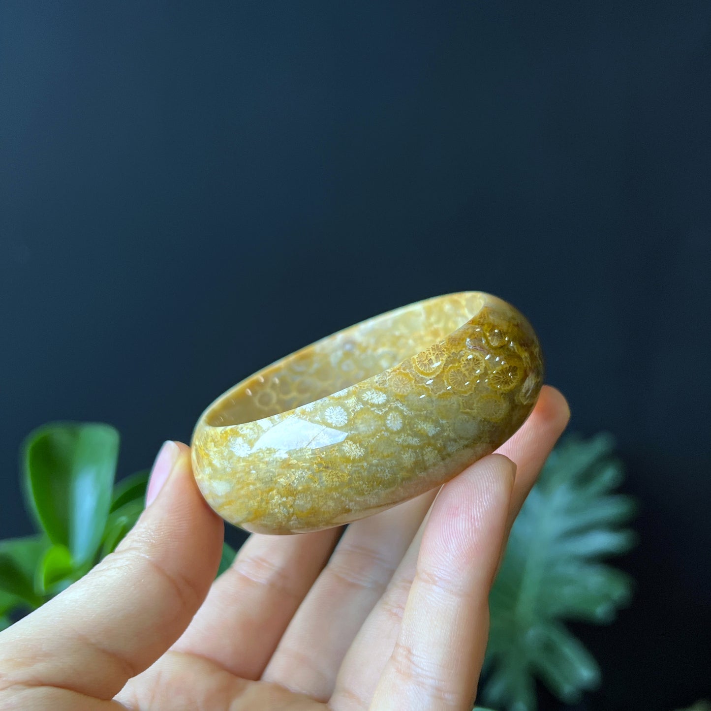 Natural Coral Fossil Bangle Leaf Style Size 52 mm