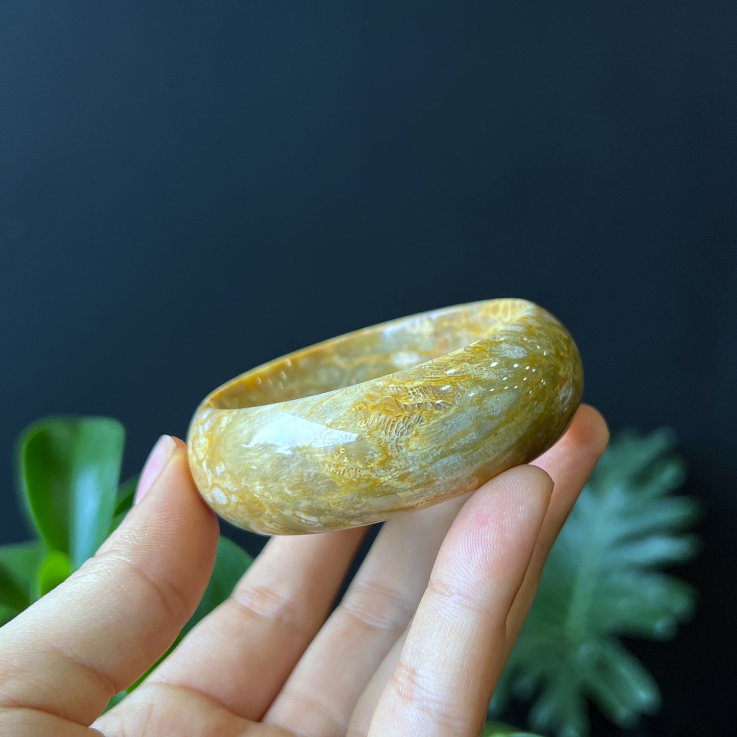 Natural Coral Fossil Bangle Leaf Style Size 52 mm