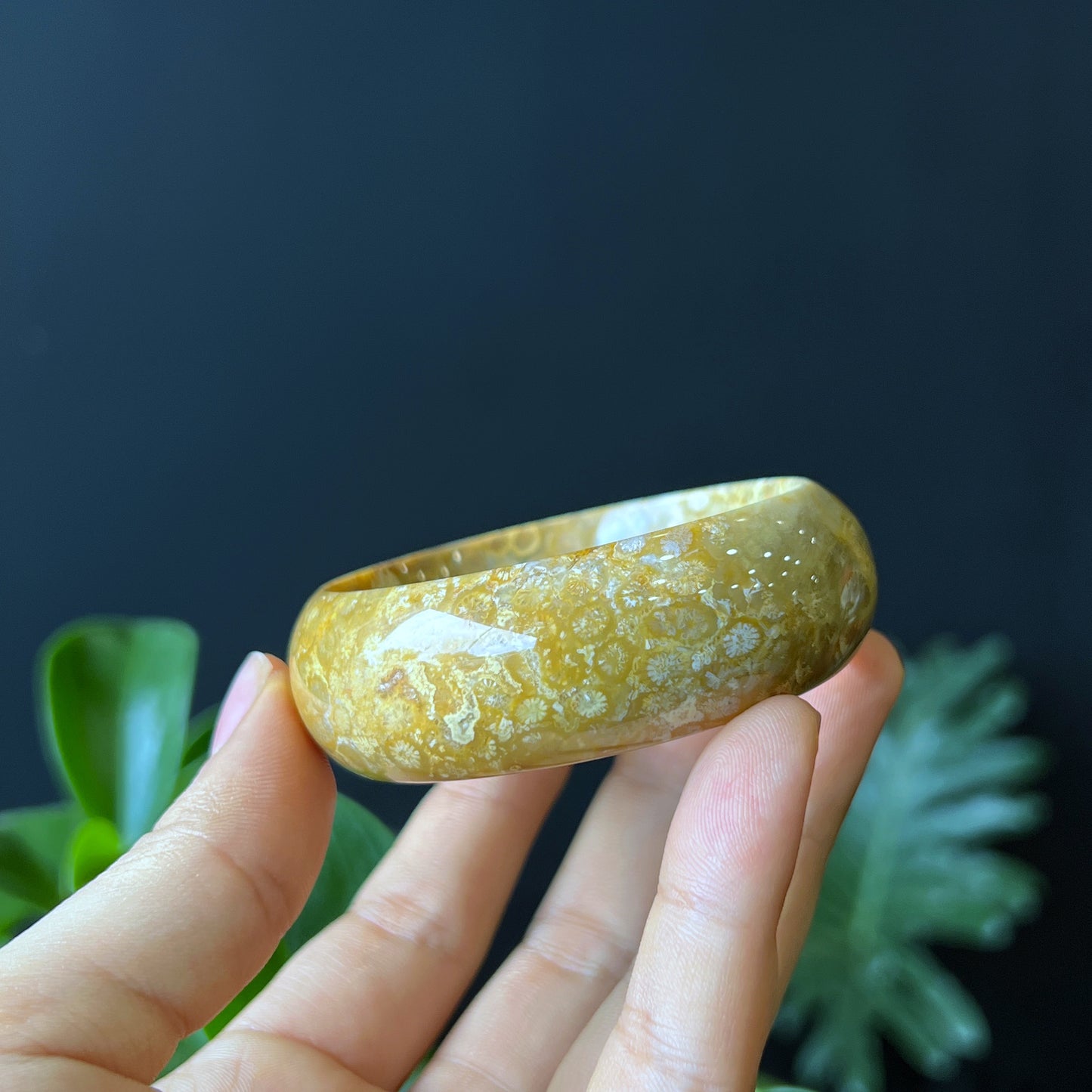 Natural Coral Fossil Bangle Leaf Style Size 52 mm