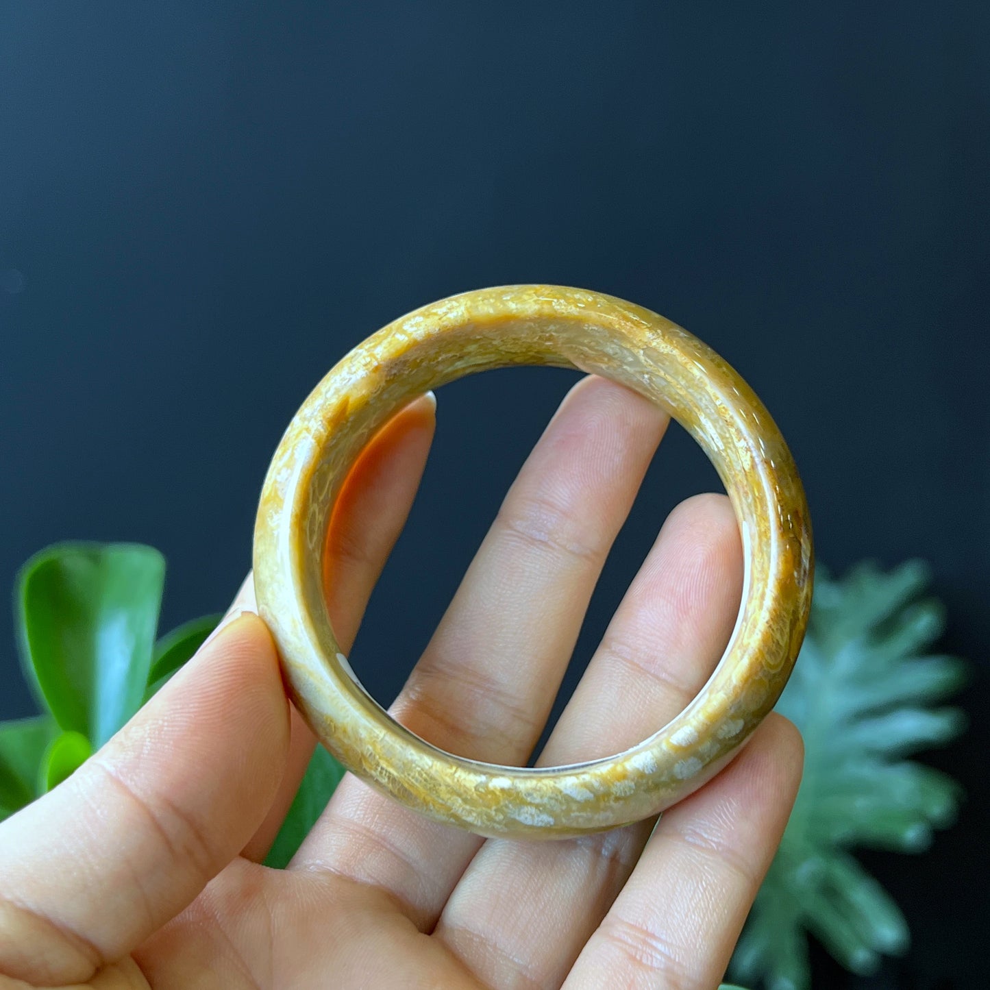 Natural Coral Fossil Bangle Leaf Style Size 52 mm