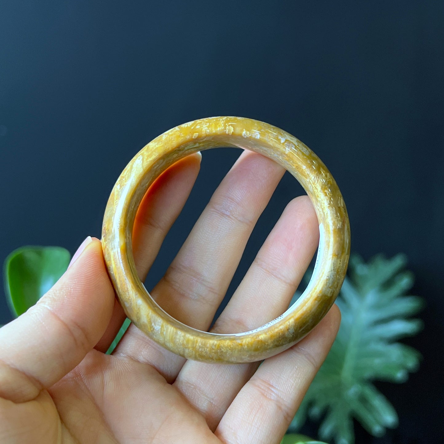 Natural Coral Fossil Bangle Leaf Style Size 52 mm